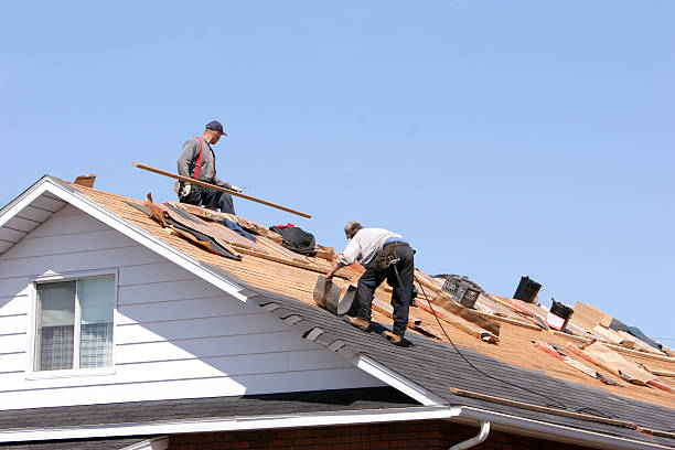 Best Rubber Roofing (EPDM, TPO)  in Marion, AL