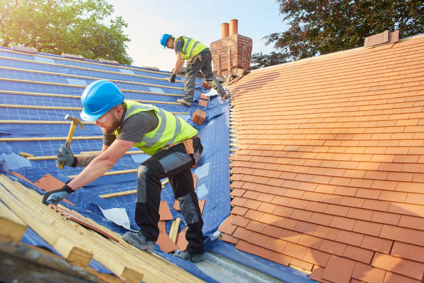 Best Roof Repair  in Marion, AL
